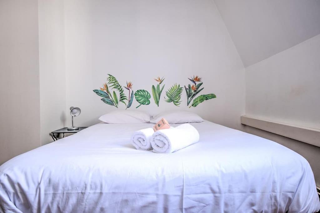 Périgueux Le Jardin Suspendu Charme & Calme En Centre Ville מראה חיצוני תמונה